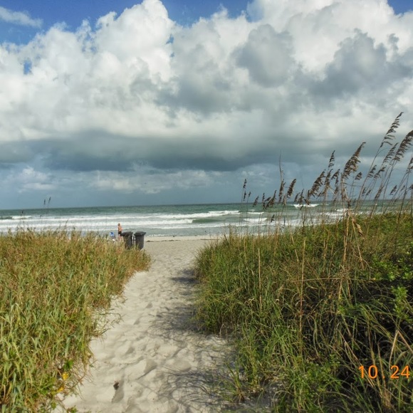 Meet your Posher, Donna - Picture 1 of 1